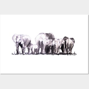 Elephants in a herd Illustration Posters and Art